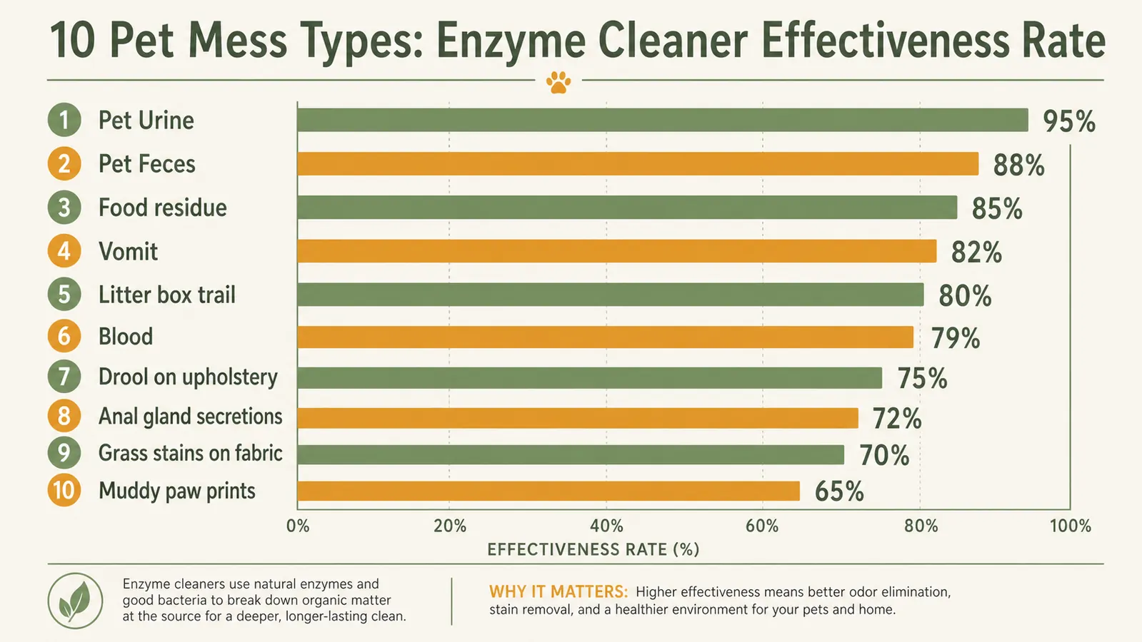 Side-by-side comparison showing carpet before and after enzyme cleaner treatment, left side with visible stain and right side clean