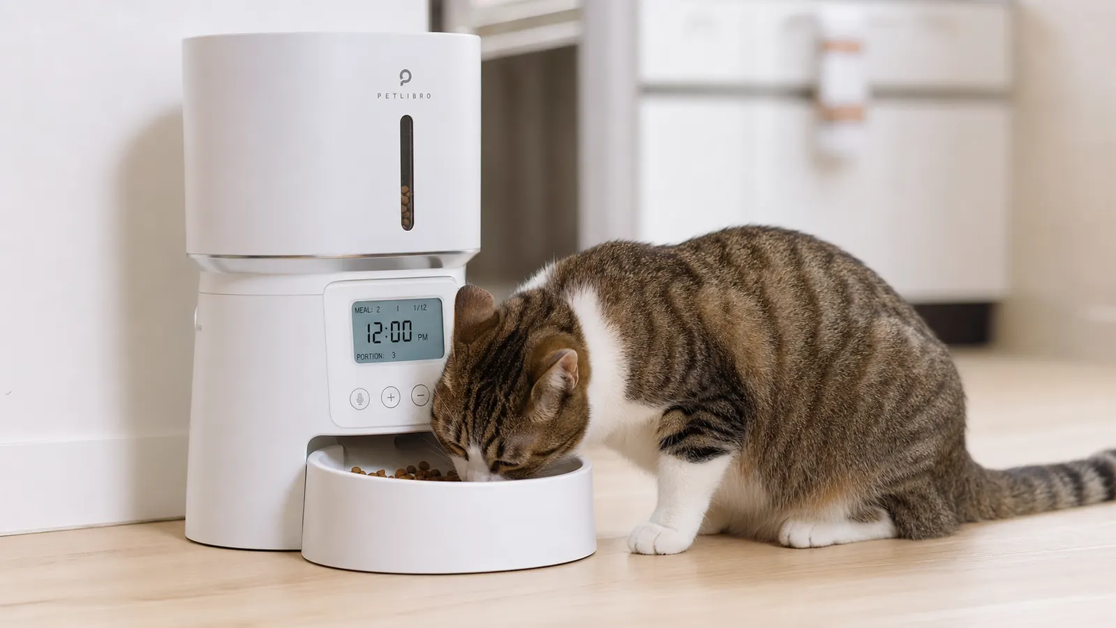 Hand pouring dry cat kibble into the open top hopper of the PETLIBRO automatic feeder